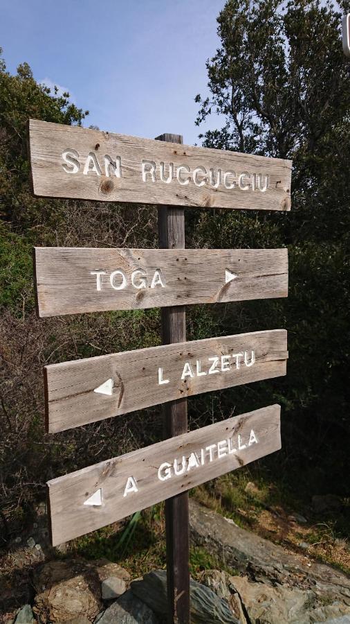 A Tana Di A Volpe Apartman Ville-di-Pietrabugno Kültér fotó